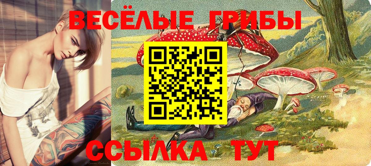 Псилоцибиновые грибы Psilocybe Арсеньев